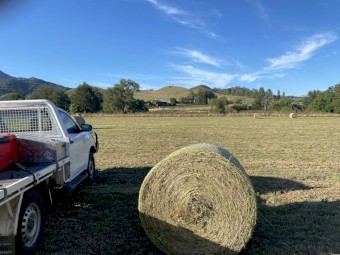 Lucerne Hay Bales