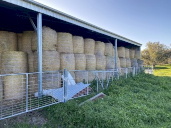 Lucerne Hay Bales