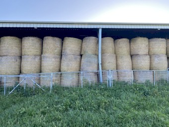 Lucerne Hay Bales