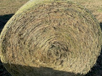 Lucerne Hay Bales