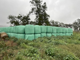 Wrapped Round Bales