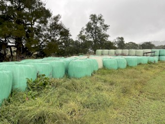 Wrapped Round Bales