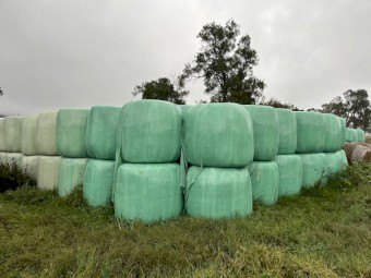 Wrapped Round Bales