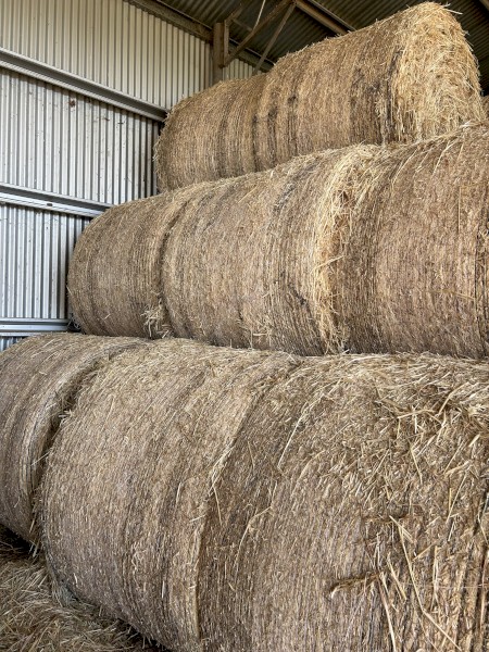 Oaten Hay 5x4 Rounds