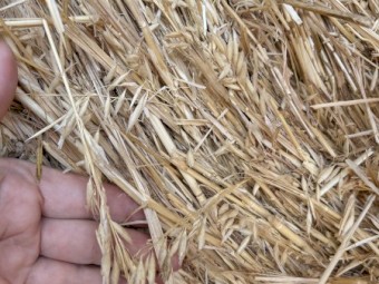 Oaten Hay 5x4 Rounds