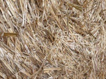 Oaten Hay 5x4 Rounds