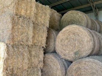 Lucerne Hay 5x4 rounds
