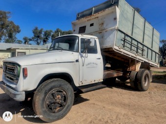 1973 Dodge D5N Tipper Grain Truck