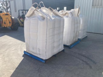 Massive Forage Oats (Avena sativa) - Germ Test attached