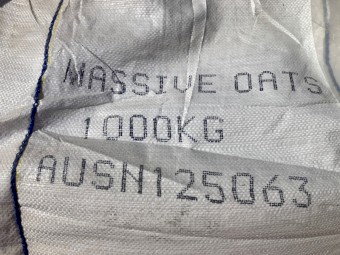 Massive Forage Oats (Avena sativa) - Germ Test attached