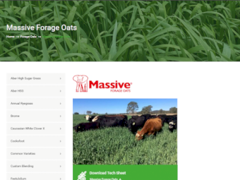 Massive Forage Oats (Avena sativa) - Germ Test attached