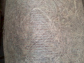 Rhodes Grass 4x4 Hay