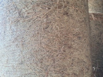Rhodes Grass 4x4 Hay