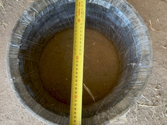 Serafin Levelling Wheel tyre