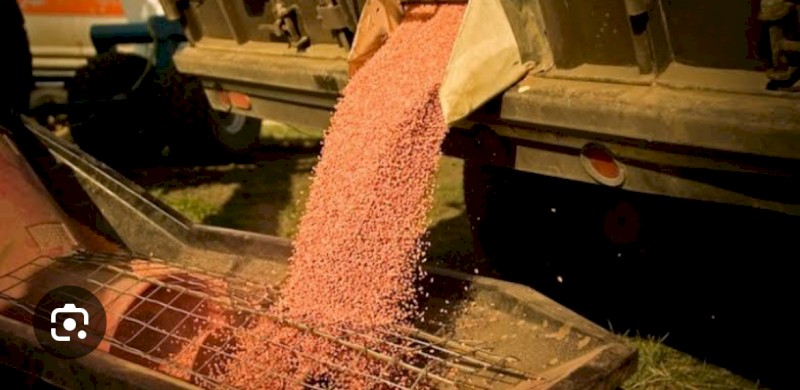 WANTED 3.5mt Wheat Seed