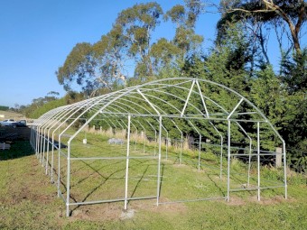 Bulk Clearance: 14 x Commercial Greenhouses (Polytunnels) + 5 x Frames (6x18m, 6x12m, 4x8m, 4x6m) 