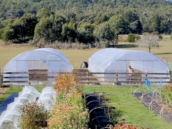 Bulk Clearance: 14 x Commercial Greenhouses (Polytunnels) + 5 x Frames (6x18m, 6x12m, 4x8m, 4x6m) 