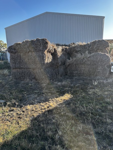 60+ Wheat straw large bales in poor condition, Free