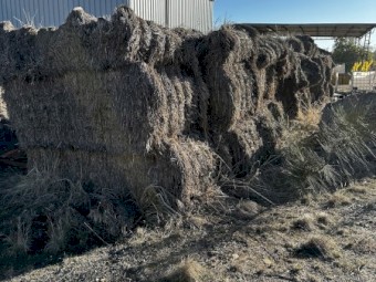 60+ Wheat straw large bales in poor condition, Free