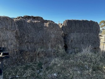 60+ Wheat straw large bales in poor condition, Free
