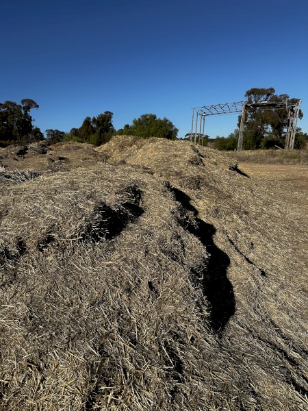 Wheat Straw Fines 100+ Meters ( Free )