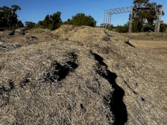 Wheat Straw Fines 100+ Meters ( Free )