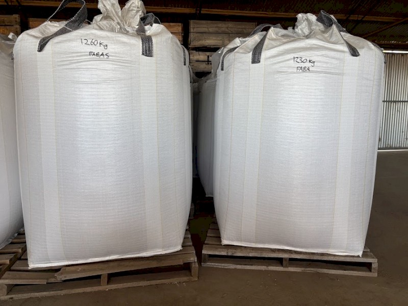 Faba Bean in Bulk Bags