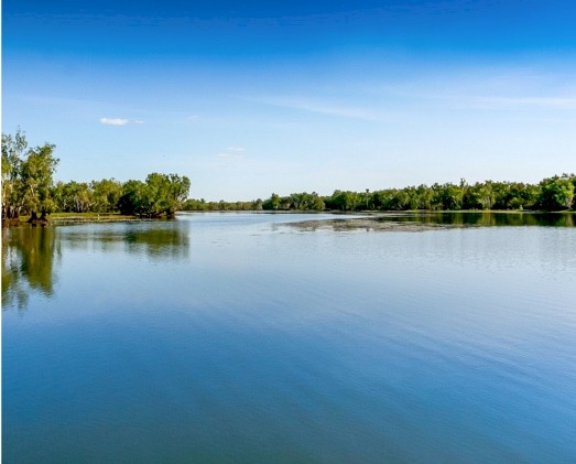 Waterzyme Water treatment for Dams and Tanks, Blue Green Algae Etc