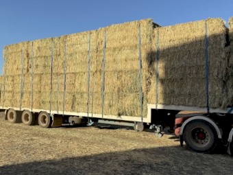 Oaten Hay 8x4x3 Bales