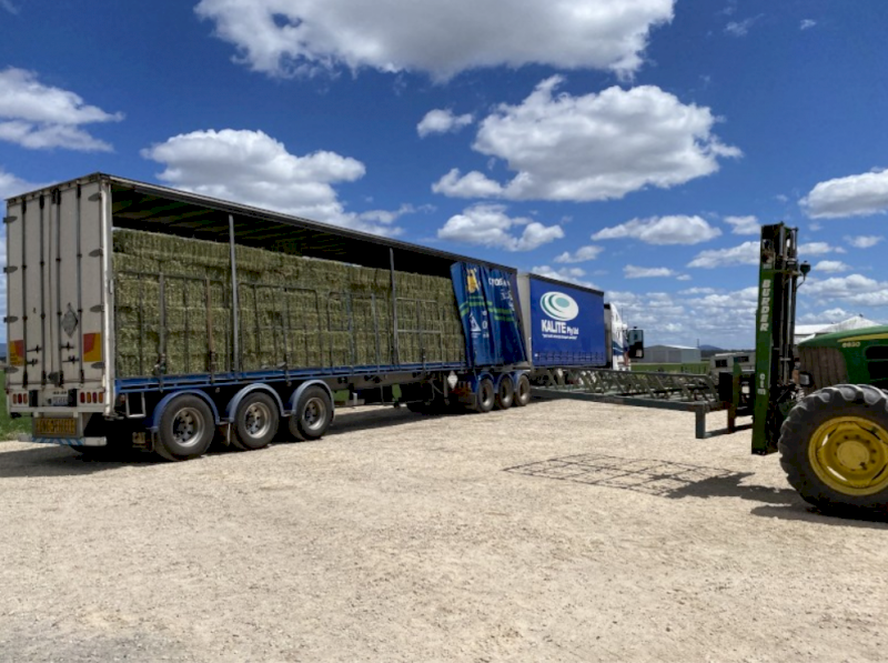 Lucerne Small Bales (Very Good Shop Quality)