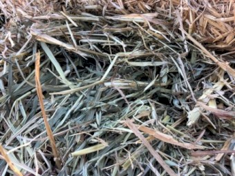 60mt Oaten Hay 400kg 8x4x3 Bales