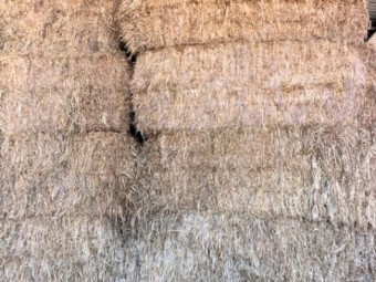 60mt Oaten Hay 400kg 8x4x3 Bales