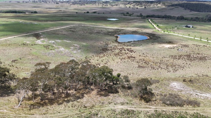 Cattle/ Sheep Agistment