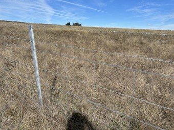 Cattle/ Sheep Agistment