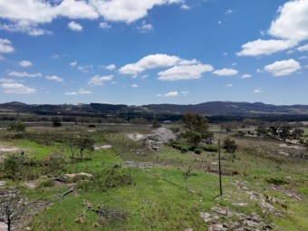 Cattle/ Sheep Agistment