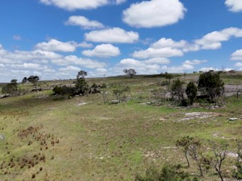 Cattle/ Sheep Agistment