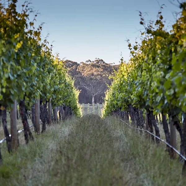 Looking to Lease Shed + Yard Space – Machinery Storage – Hunter Valley