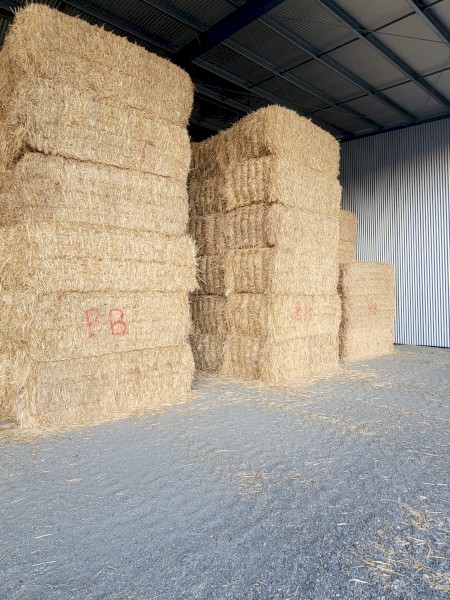 Current Season Oaten Straw