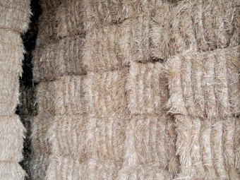 Current Season Oaten Straw