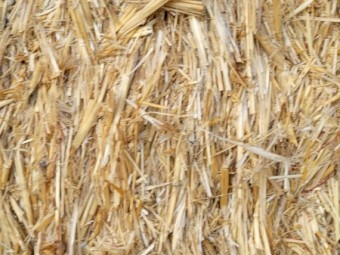 Current Season Oaten Straw