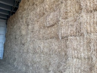 50 x Oaten Hay 750kg 8x4x3 Bales