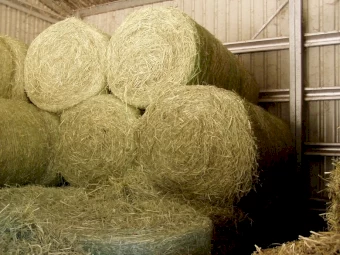 4x4 Round Bales 