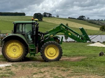 2019 John Deere 6125M Cab Tractor with 643R Loader & Precision Ag Package!