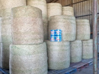 Red and White Clover, Rye, Oats, Phalaris and Chickory Hay 5x5 Round Bales