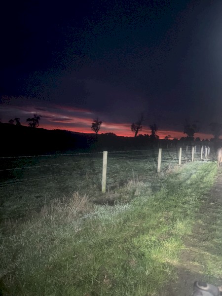 Wanted Lease Land or Agistment 