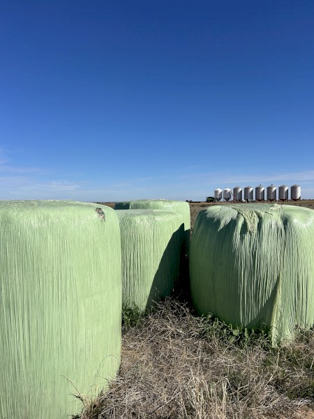 132 x Oaten Haylage Round Bales