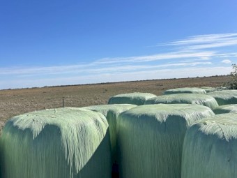 132 x Oaten Haylage Round Bales