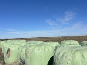 132 x Oaten Haylage Round Bales