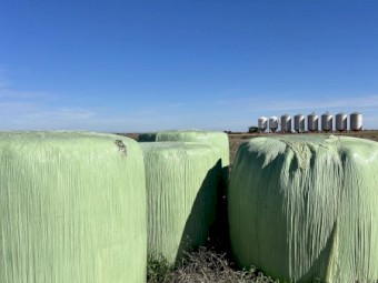 132 x Oaten Haylage Round Bales