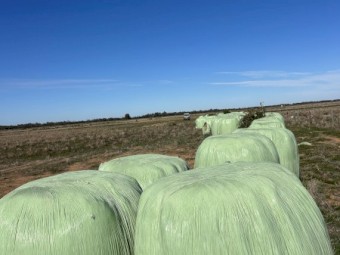 132 x Oaten Haylage Round Bales